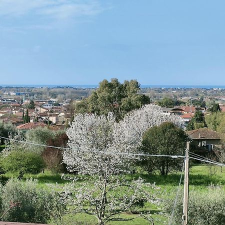 Vila Casa Bianca Pietrasanta Exteriér fotografie