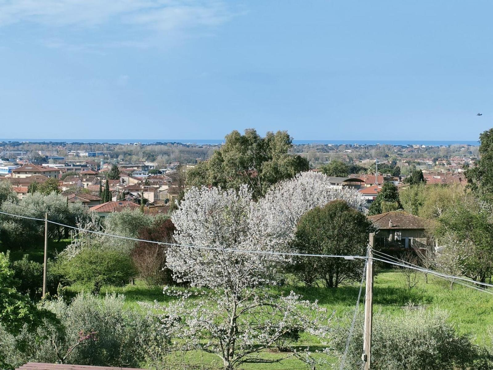 Vila Casa Bianca Pietrasanta Exteriér fotografie